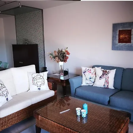 Penthouse Puerto Banus Apartment Marbella