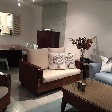 Penthouse Puerto Banus *